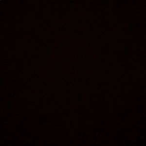 Meet your Posher, Chanel